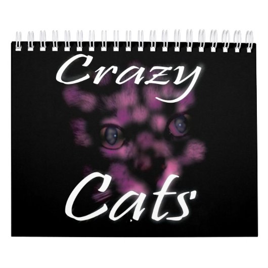 Crazy Cats and Kittens, Kalender (Titelbild)
