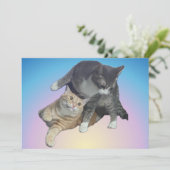 Crazy Cats - Taz und Tito Bandito (Stehend Vorderseite)