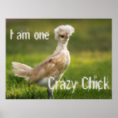 Crazy Chick Funny Poster (Vorne)