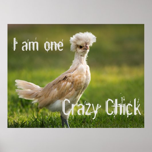 Crazy Chick Funny Poster (Vorne)