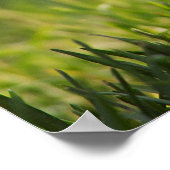 Crazy Chick Funny Poster (Ecke)