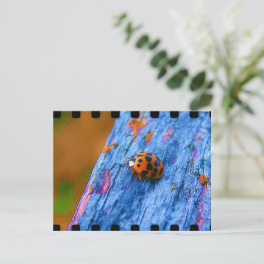 Crazy Color Bug Postkarte (Stehend Vorderseite)