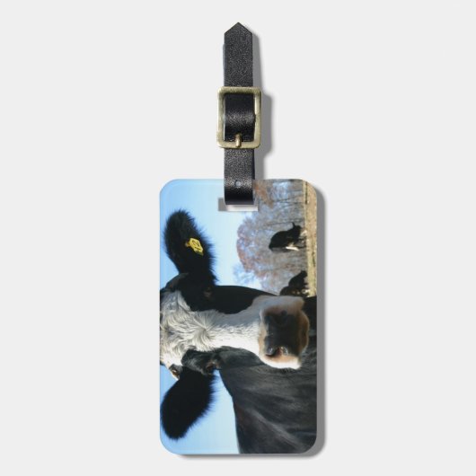 Crazy Cow Gepäckanhänger (Vorderseite vertikal)