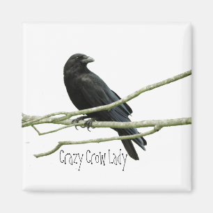 Crazy Crow Lady Magnet