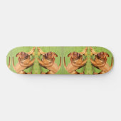 Crazy Dog Skateboard (Horizontal)