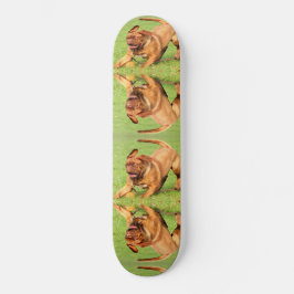 Crazy Dog Skateboard