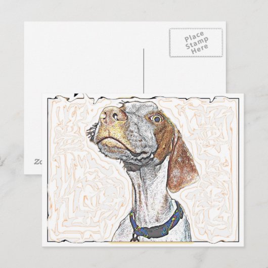 Crazy Eyes Postkarte (Vorne/Hinten)