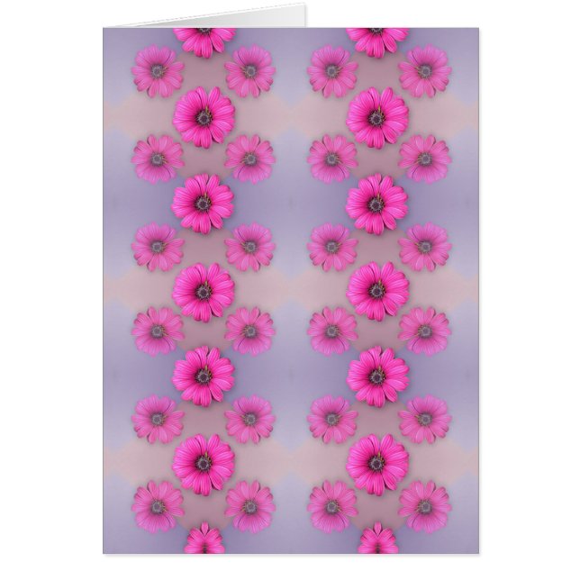 Crazy für Daisy (Vorne)