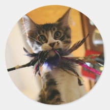 Crazy für die Feder