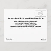 Crazy für Katzen Postkarte (Rückseite)