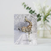 Crazy Giraffe Snow Postkarte (Stehend Vorderseite)