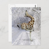 Crazy Giraffe Snow Postkarte (Vorne/Hinten)