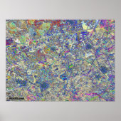 Crazy Gras Poster (Vorne)