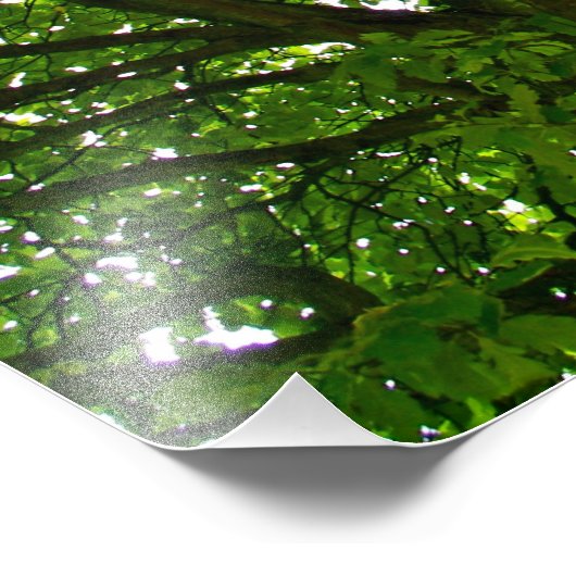 Crazy Green Tree Foto (Ecke)