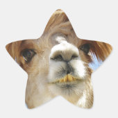 Crazy Hair Alpaca Stern-Aufkleber (Vorderseite)