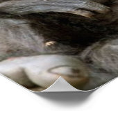 Crazy Hair Monkey zu viel Kaffeepulver Poster (Ecke)