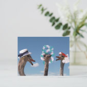 Crazy Hat Day bei den Rennen Postkarte (Stehend Vorderseite)