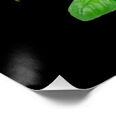 Crazy Herbs Lady Poster (Ecke)