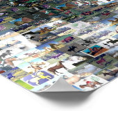 Crazy Horse Indian Poster (Ecke)