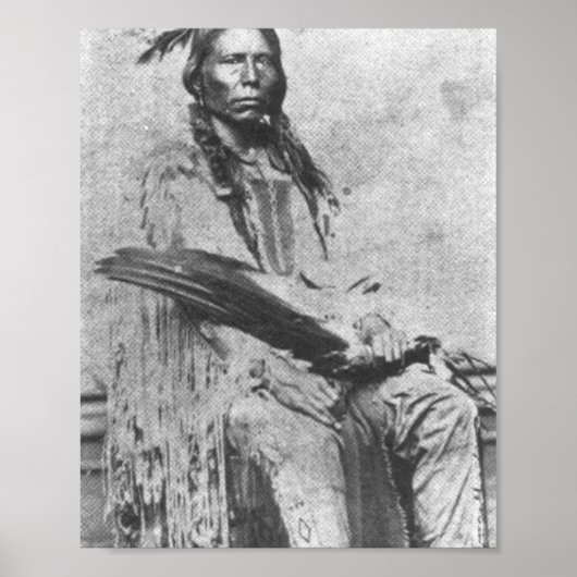 Crazy Horse Poster (Vorne)