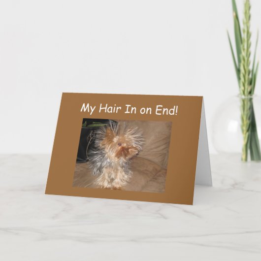 CRAZY HUNGE HAIR "40." GEBURTSTAG KARTE (Vorderseite)