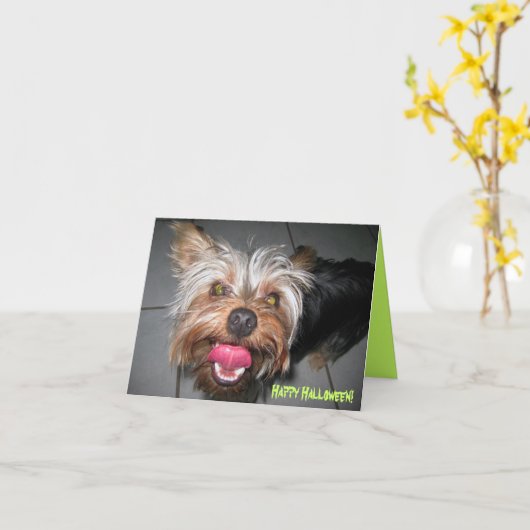 Crazy Jasper ~ Card Karte (Gelbe Blume)