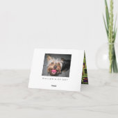 Crazy Jasper ~ Card Karte (Rückseite)