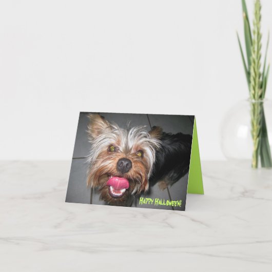 Crazy Jasper ~ Card Karte (Vorderseite)