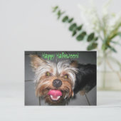 Crazy Jasper ~ Postcard Postkarte (Stehend Vorderseite)