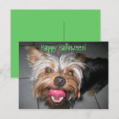 Crazy Jasper ~ Postcard Postkarte (Vorne/Hinten)