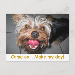 Crazy Jasper ~ Postcard Postkarte