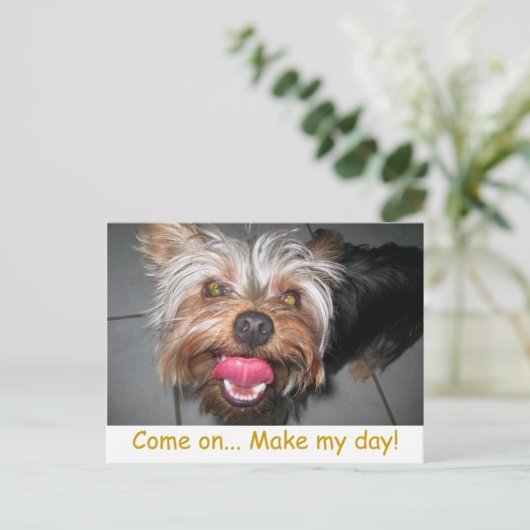 Crazy Jasper ~ Postcard Postkarte (Stehend Vorderseite)