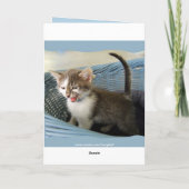 Crazy Kitten Belated Geburtstag Karte (Rückseite)