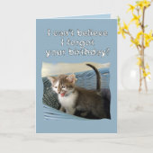 Crazy Kitten Belated Geburtstag Karte (Gelbe Blume)