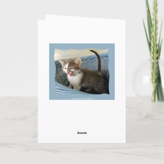 Crazy Kitten Belated Geburtstag Karte (Rückseite)