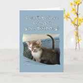 Crazy Kitten Belated Geburtstag Karte (Gelbe Blume)