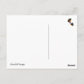 Crazy Lazy Days, Summer Postcard Postkarte (Rückseite)