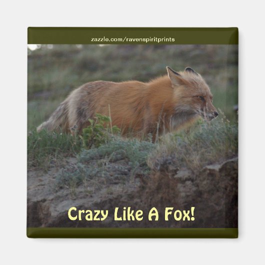 Crazy like a fox Animal Wildlife Fun Magnet (Vorne)