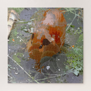 Crazy Paint - Guinea Pig Puzzle