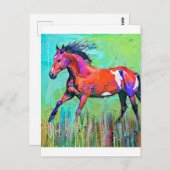 Crazy Pferd Postkarte (Vorne/Hinten)