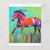 Crazy Pferd Postkarte (Vorderseite)