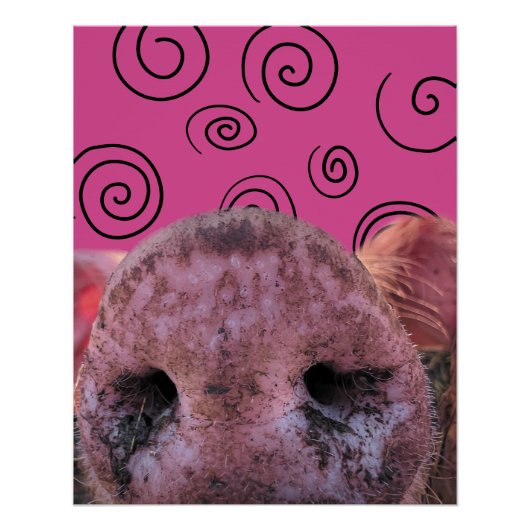 Crazy Pig Poster (Vorderseite)