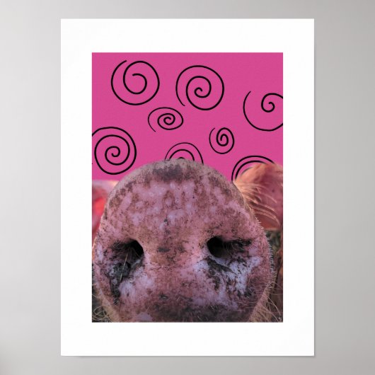 Crazy Pig Poster (Vorne)