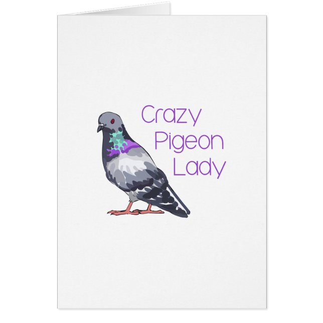 CRAZY PIGEON LADY (Vorne)
