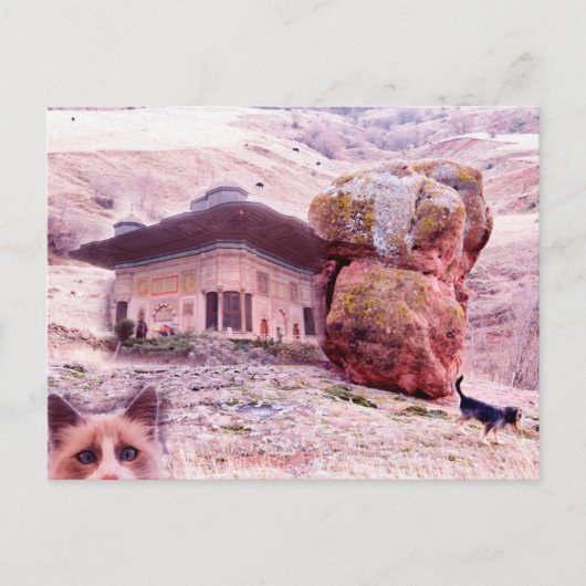 Crazy Postcard Dog Cat Funny Collage Postkarte (Vorderseite)