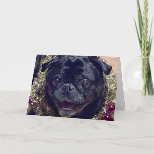 Crazy Pug Christmas Card Feiertagskarte (Vorderseite)