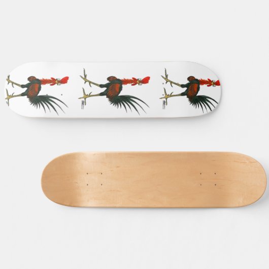 Crazy Rooster Skateboard (Horizontal)