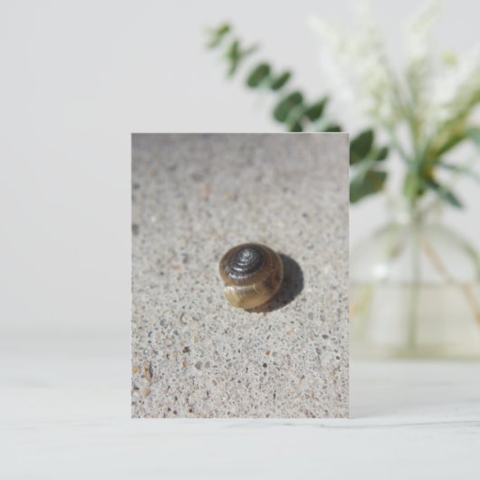 Crazy Snail Postkarte (Stehend Vorderseite)