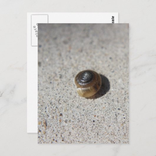 Crazy Snail Postkarte (Vorne/Hinten)