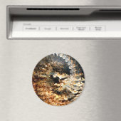 Crazy Storm...... Magnet (In Situ (Geschirrspüler))